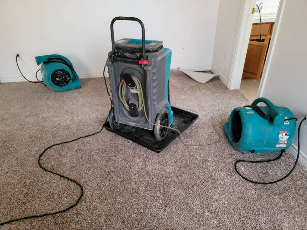 Best Fire Damage Restoration  in Kingsville, TX