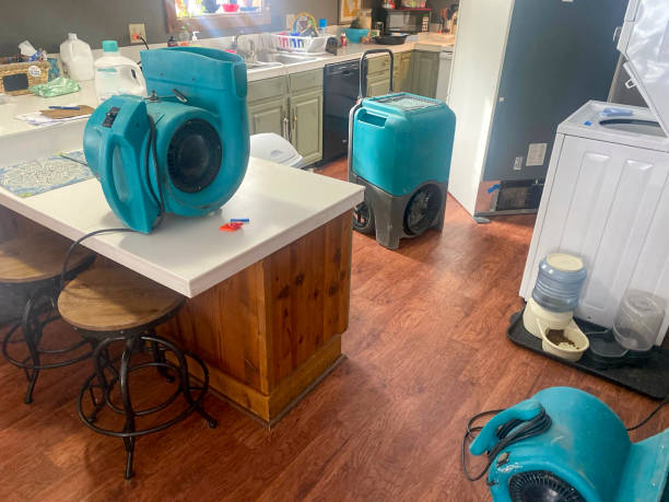  Kingsville, TX Water damage restoration Pros
