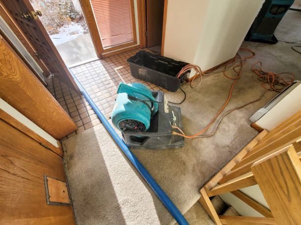 Best Carpet water damage restoration  in Kingsville, TX