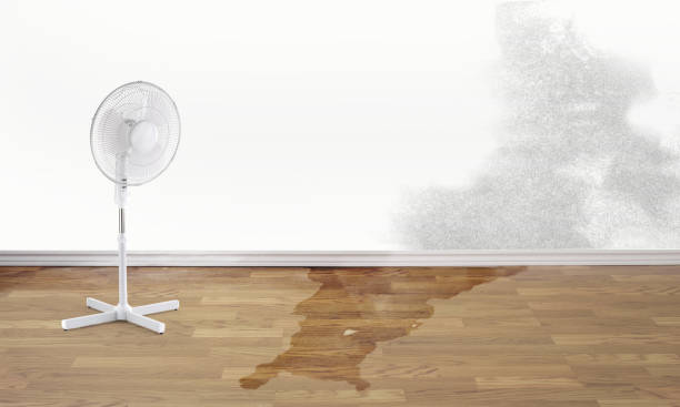 Best Local water damage restoration  in Kingsville, TX