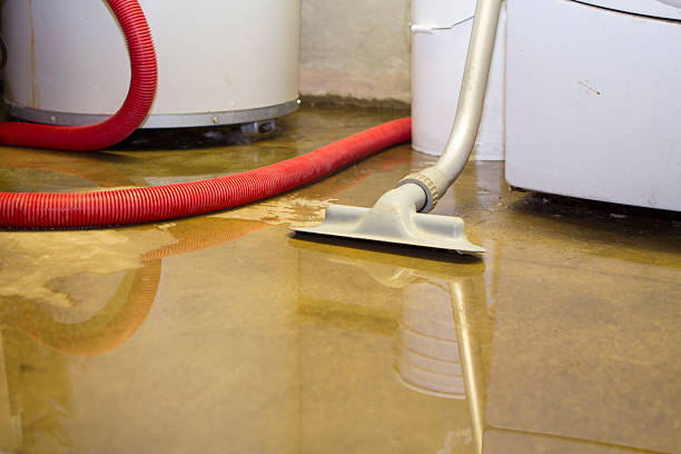 Best Mold removal after water damage  in Kingsville, TX