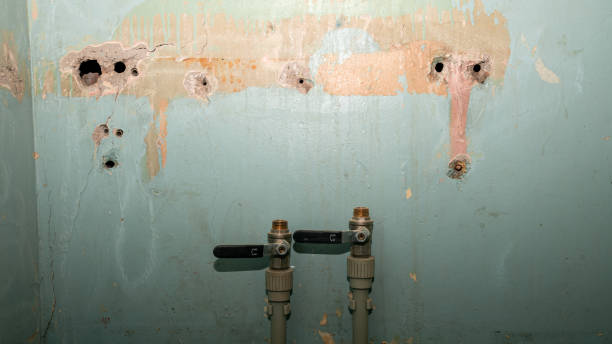 Best Local water damage restoration  in Kingsville, TX