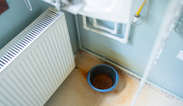 Best 24/7 water damage repair  in Kingsville, TX