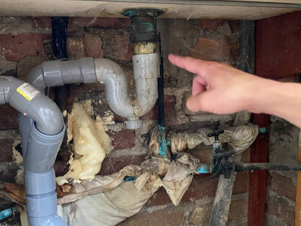 Best Ceiling water damage repair  in Kingsville, TX