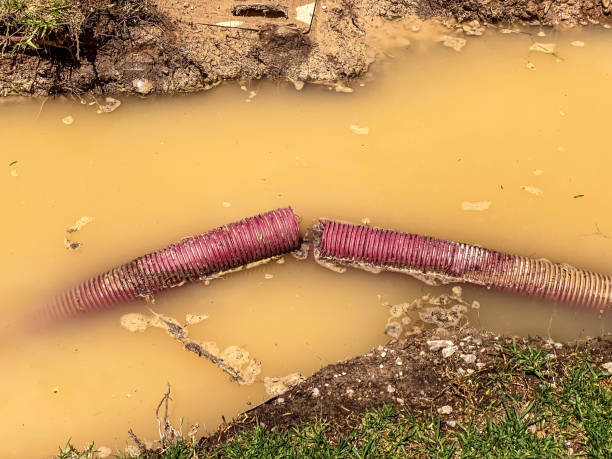 Best Sewage cleanup and water damage restoration  in Kingsville, TX